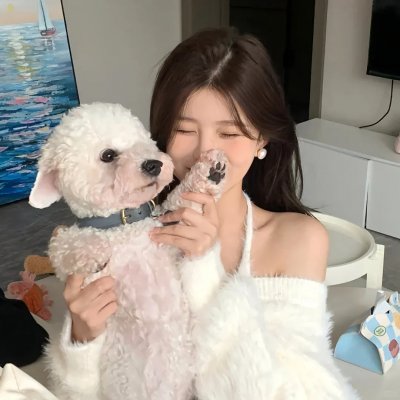 琴韵动我心